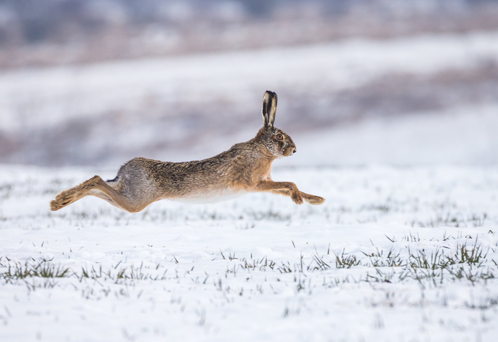 Trujemy siebie i przyrodę