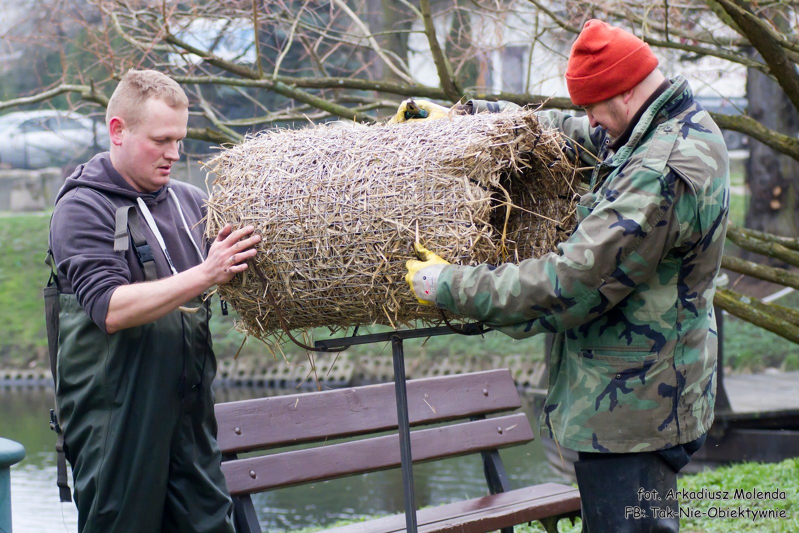 kosze lęgowe w parku