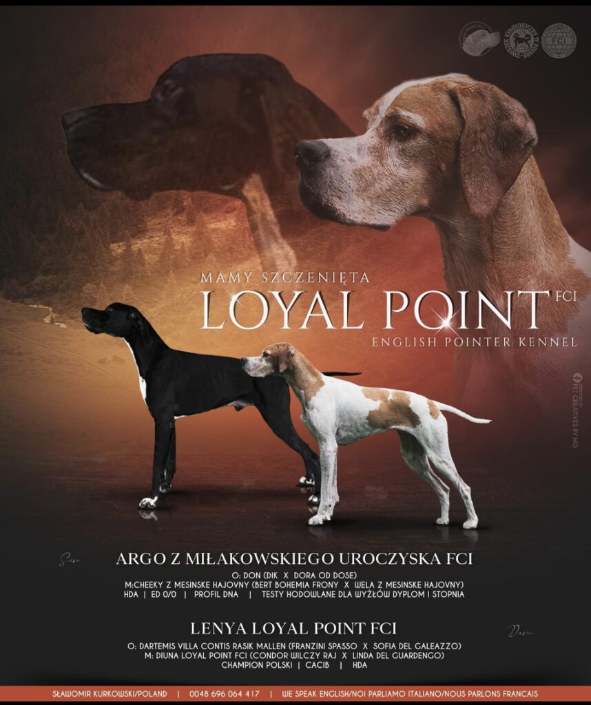 Loyal Point FCI 