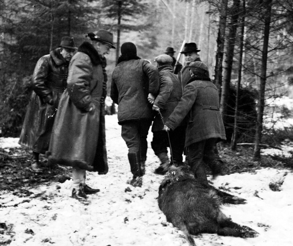 Polowanie w Białowieży Z lewej widoczni regent Węgier Miklos Horthy i poseł nadzwyczajny i minister pełnomocny Węgier w Polsce